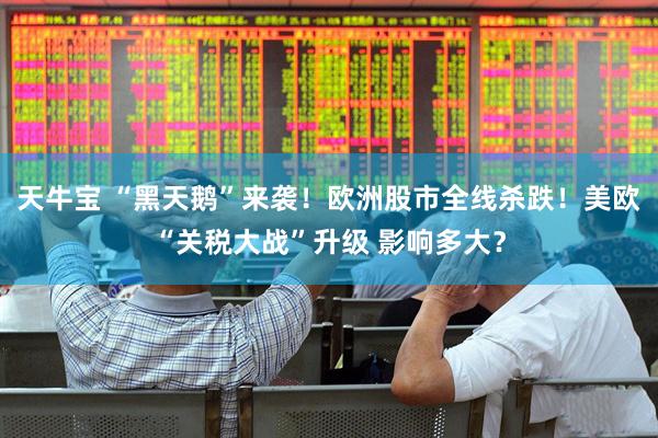 天牛宝 “黑天鹅”来袭！欧洲股市全线杀跌！美欧“关税大战”升级 影响多大？
