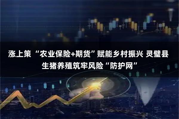 涨上策 “农业保险+期货”赋能乡村振兴 灵璧县 生猪养殖筑牢风险“防护网”